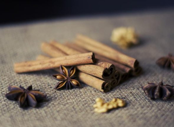 cimet-ayurveda-nutricionizam