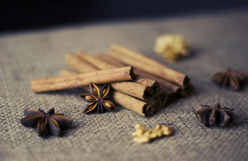 cimet-ayurveda-nutricionizam