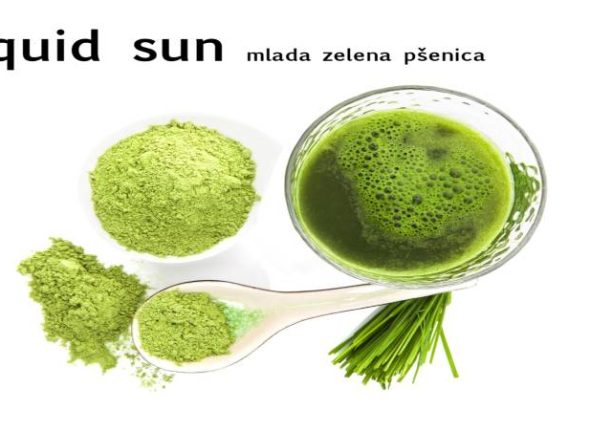 Mlada zelena psenica - casa&prah