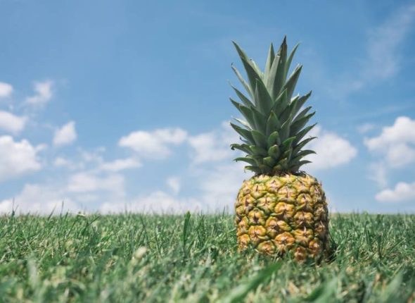 Ananas-za-srecu-i-probavu-adhara-ayurveda-nutricionizam