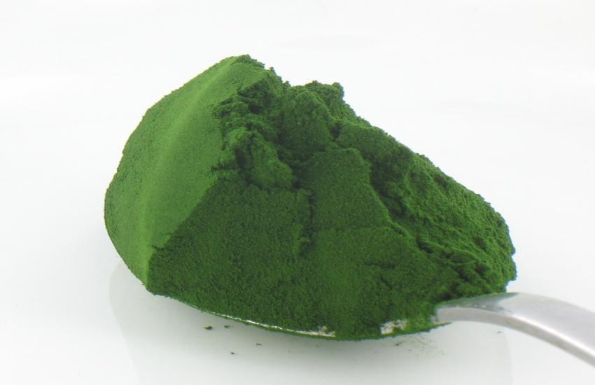 Chorella-pyrenoidosa-adhara-ayurveda-nutricionizam