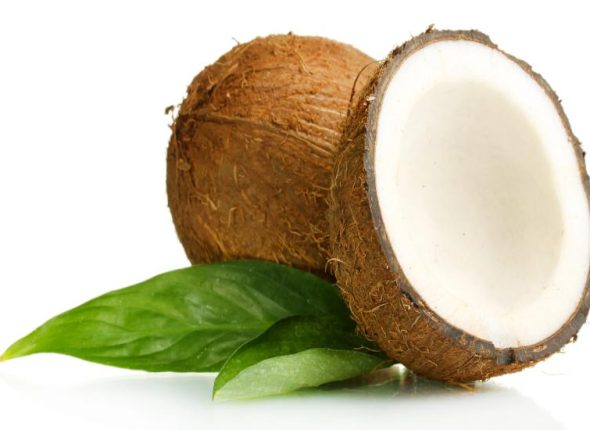 Kokos–adhara-ayurveda-nutricionizam