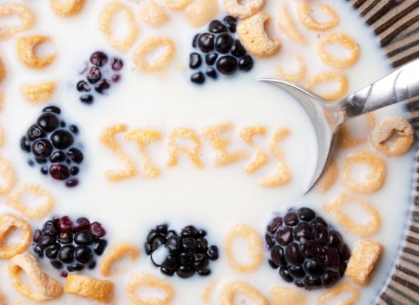 Stres-i-pretilost-adhara-ayurveda-nutricionizam