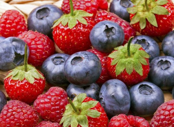 Ice-i-pice-antiage-namirnice-adhara-ayurveda-nutricionizam