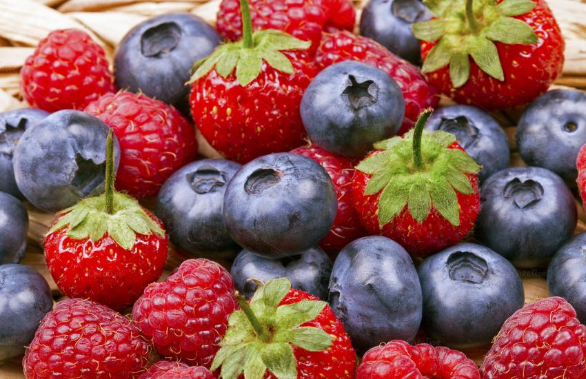 Ice-i-pice-antiage-namirnice-adhara-ayurveda-nutricionizam