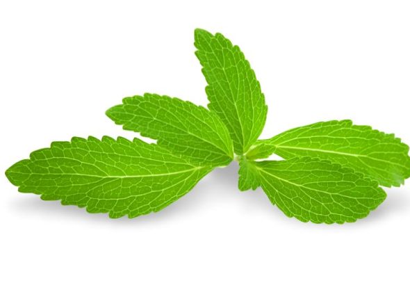 stevija-adhara-ayurveda-nutricionizam