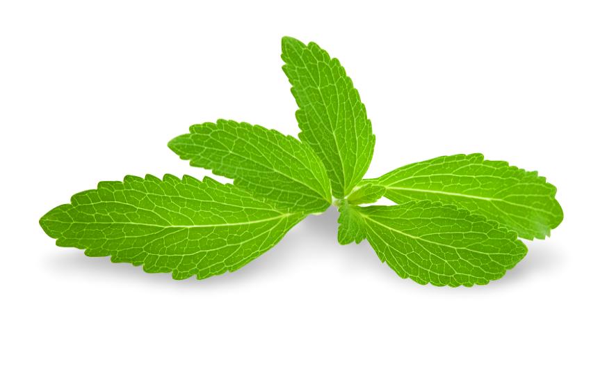 stevija-adhara-ayurveda-nutricionizam