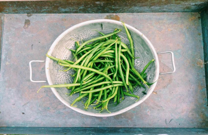 Zasto-vlakna-uvrstiti-u-prehranu-adhara-ayurveda-nutricionizam