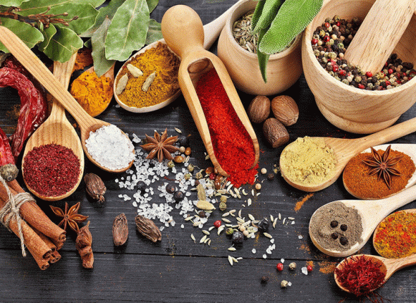 zadar-zivi-dravo-adhara-ayurveda-nutricionizam