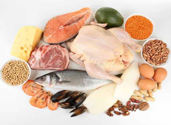 proteini-u-prehrani-adhara-nutricionizam-ayurveda