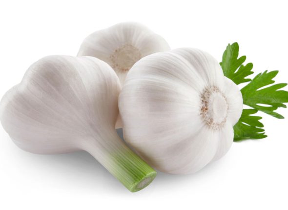 cesnjak-zastitnik-srca-adhara-nutricionizam-ayurveda