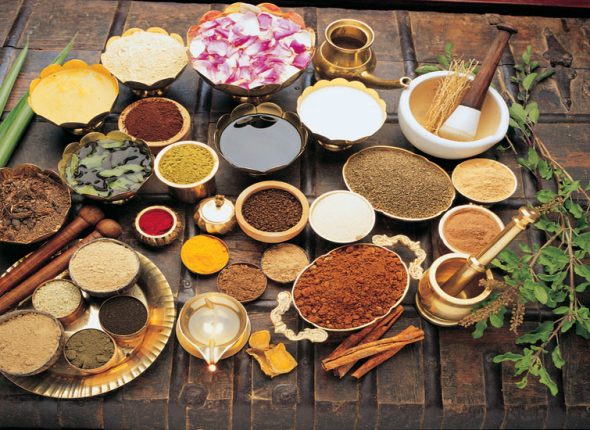 uloga-zacina-adhara-nutricionizam-ayurveda