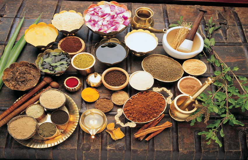 uloga-zacina-adhara-nutricionizam-ayurveda