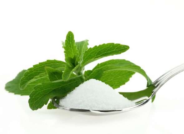 stevija-adhara-ayurveda-nutricionizam