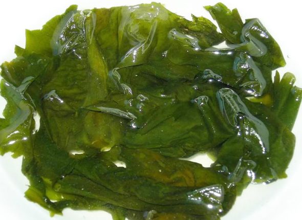 zivjeti-od-zraka-i-algi-adhara-nutricionizam-ayurveda