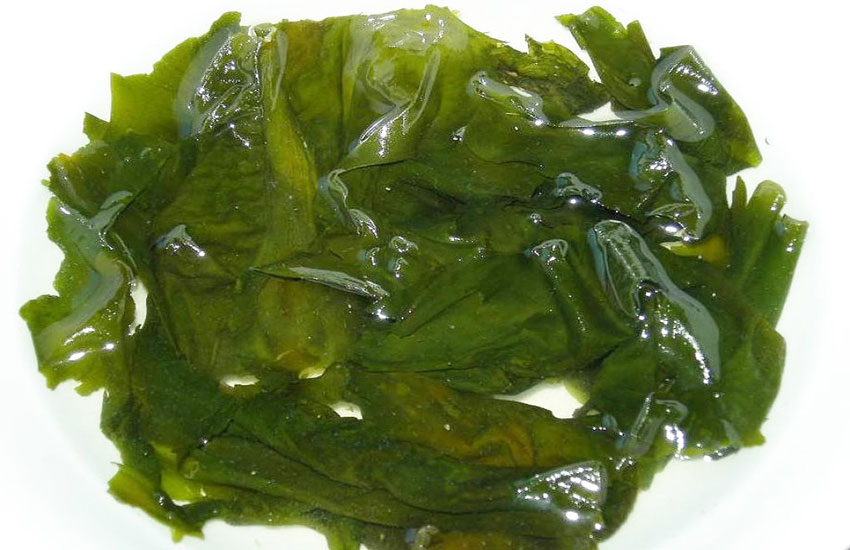 zivjeti-od-zraka-i-algi-adhara-nutricionizam-ayurveda