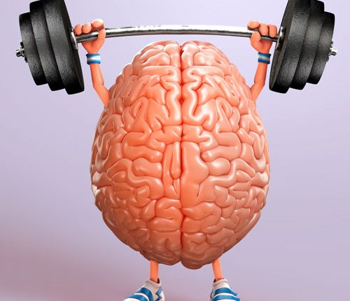 fitness-mozak-adhara-centar-nutricionizam